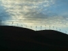 windmills